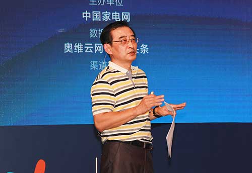 国家信息中心信息资源开发部副主任 蔡莹 