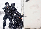 11月2日，乌鲁木齐市公安局特警八支队特警在雪地环境下训练。