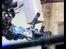 意大利研发行走机器人Walk-Man 可协助危险救援工作