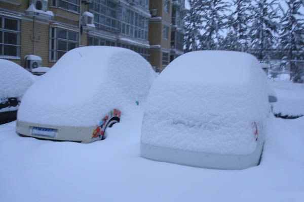 一场大雪过后 你的爱车你还能认出来吗