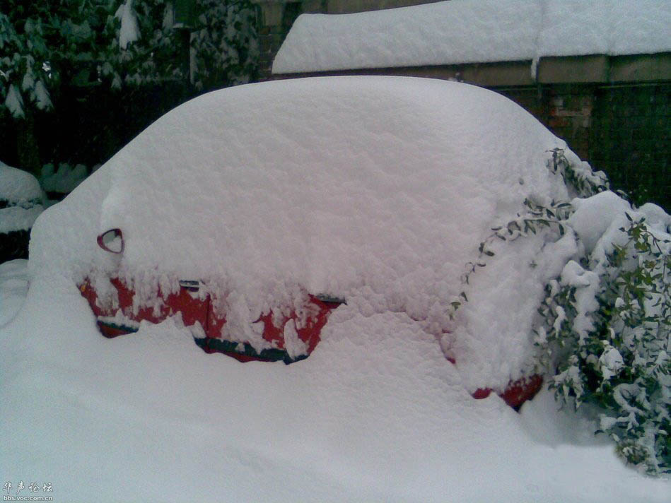 一场大雪过后 你的爱车你还能认出来吗