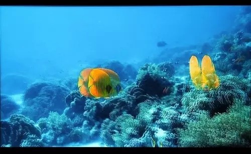 小间距LED电视