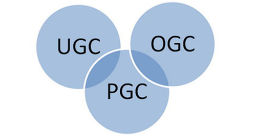 PGC的爆发 加剧UGC内容快速生长 PGC的爆发 加剧UGC内容快速生长