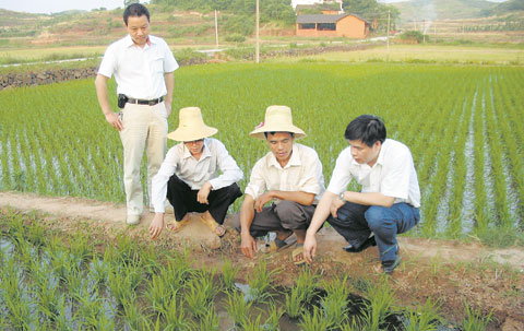 湖南省春耕生产现场会