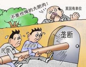 关于在市场体系建设中建立公平竞争审查制度的意见