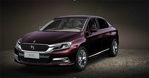 DS-5LS.jpg
